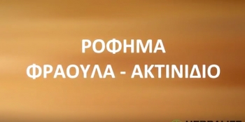 Φράουλα Ακτινίδιο Ρόφημα Φράουλα Ακτινίδιο